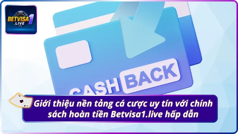 Giới thiệu nền tảng cá cược uy tín với chính sách hoàn tiền Betvisa1.live