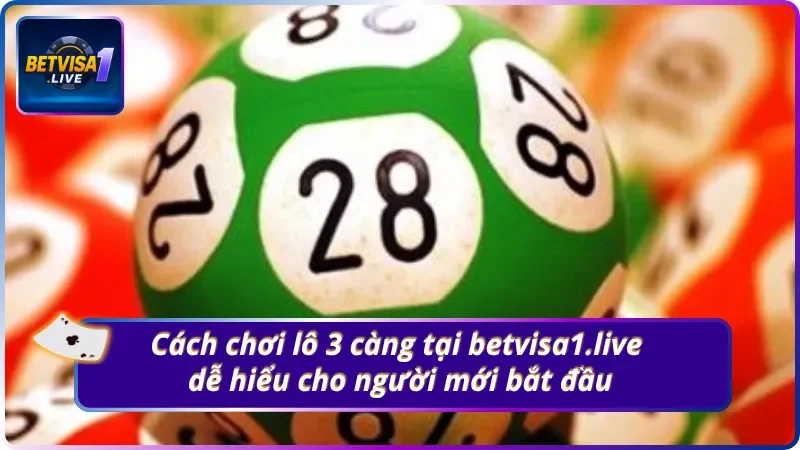 Hướng dẫn nhanh cách tham gia chơi lô tại Betvisa1.live dể hiểu nhất