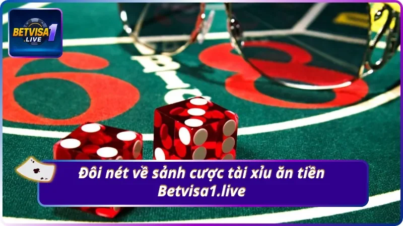 Tổng quan về hình thức Tài Xỉu ăn tiền Betvisa1.live